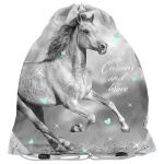 Worek na obuwie Horse Paso