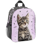 Mały plecak przedszkolny 3D Striped cat Kotek Paso