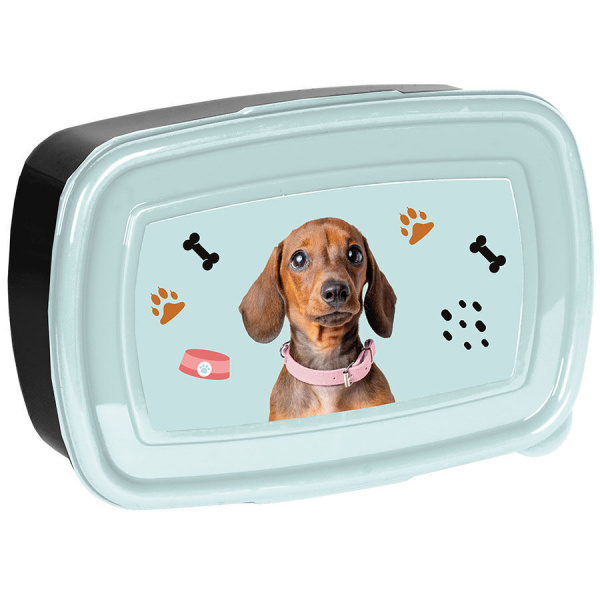 Śniadaniówka Little dog Piesek Jamnik Paso