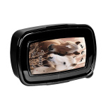 Śniadaniówka Horses Paso